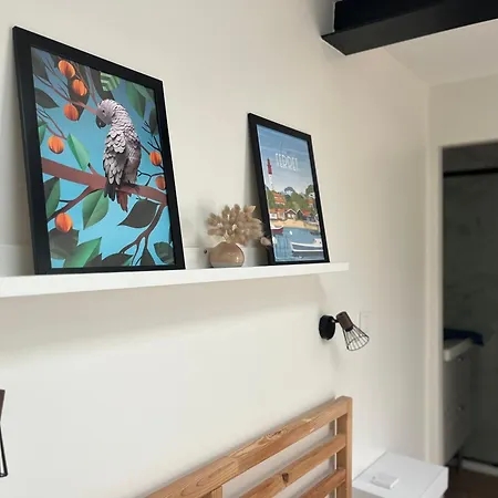 Studiocosy Proche Bordeaux, Parking Gratuit, Clim Eysines Exterior photo